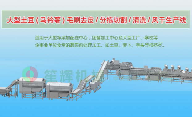 石楼连续式土豆去皮清洗切割风干生产线